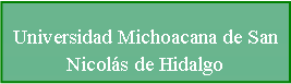 Cuadro de texto: Universidad Michoacana de San Nicolás de Hidalgo